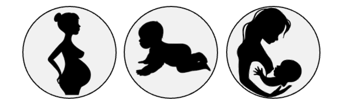 Effects of Perinatal and Early Life Exposure to Environmental Chemicals on Cardiometabolic Health